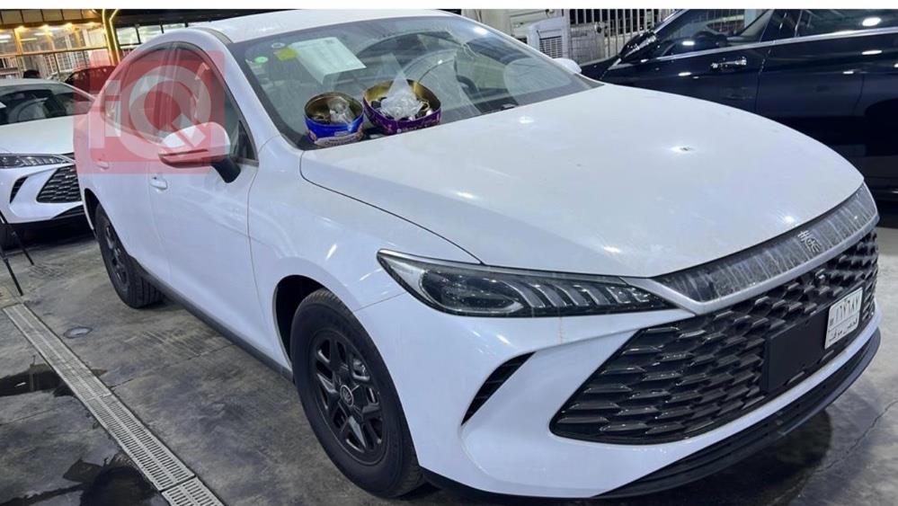 بي واي دي Qin Plus